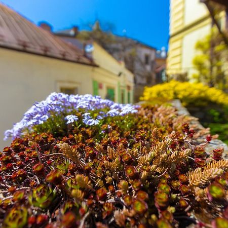 Penzion U Hradku Hotel Kutna Hora Luaran gambar