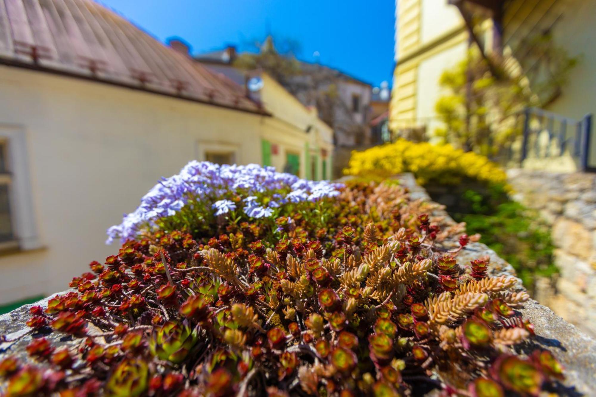 Penzion U Hradku Hotel Kutna Hora Luaran gambar